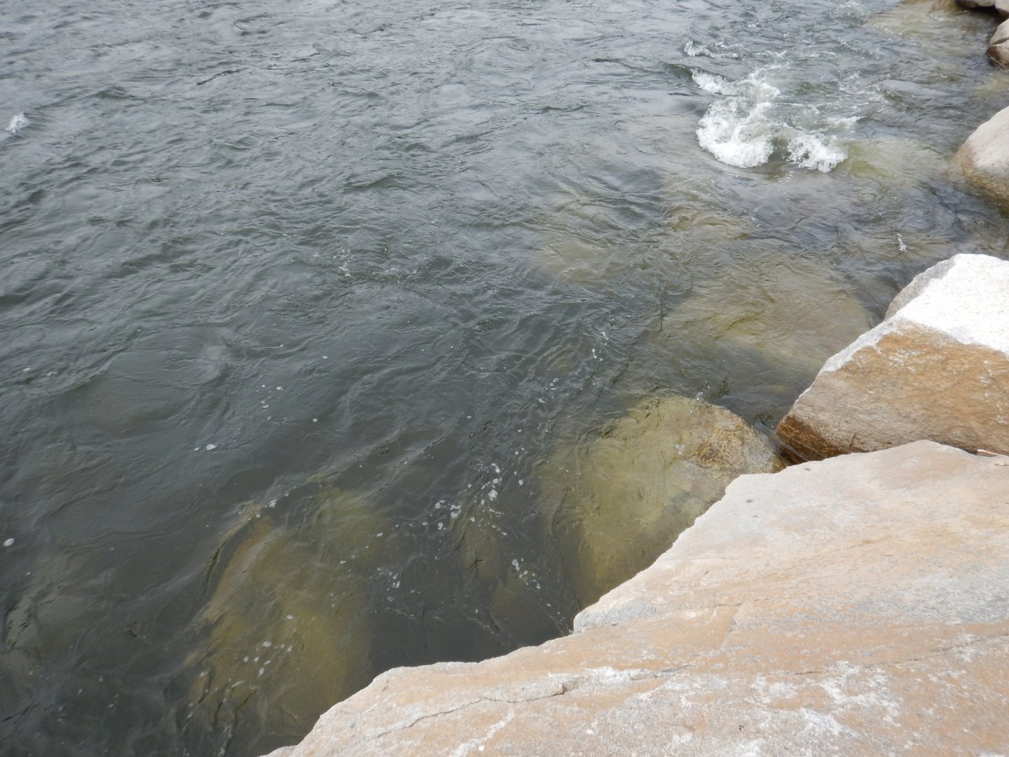 DSCN1082.JPG