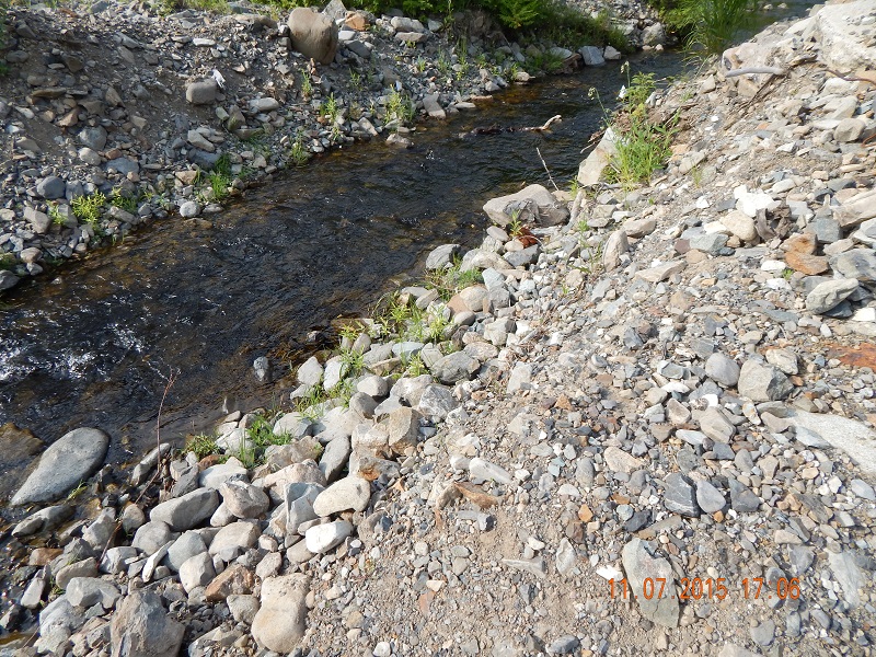 DSCN1106.jpg