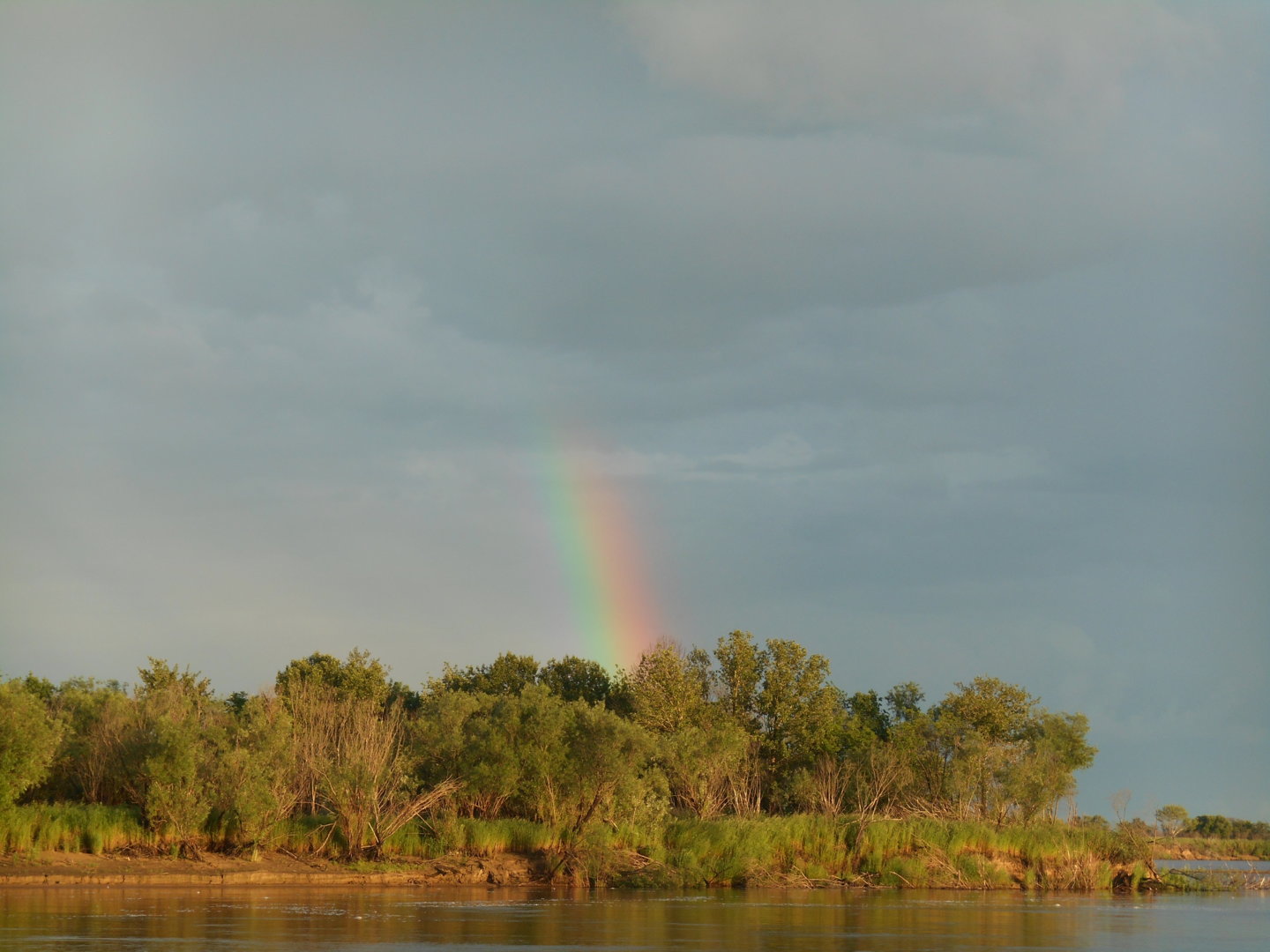 DSCN1139.JPG