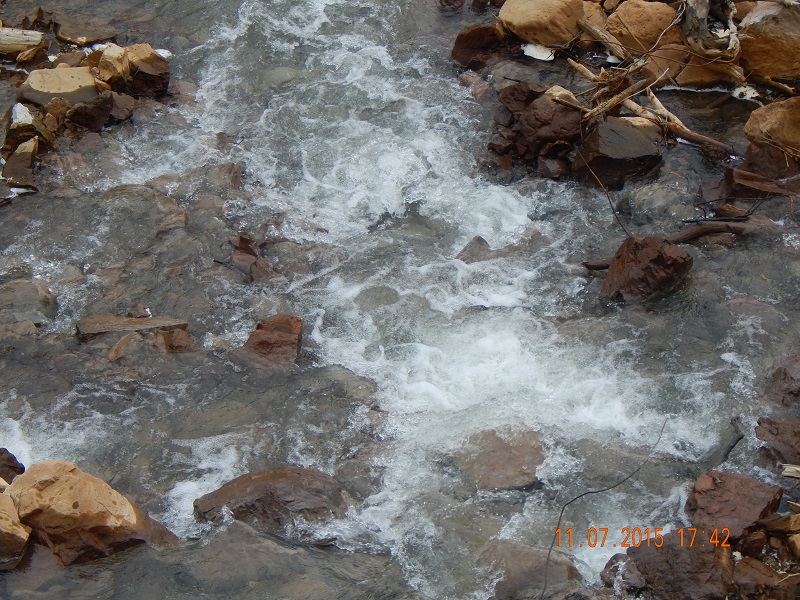 DSCN1143.jpg