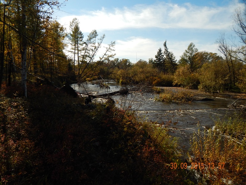 DSCN1305.jpg