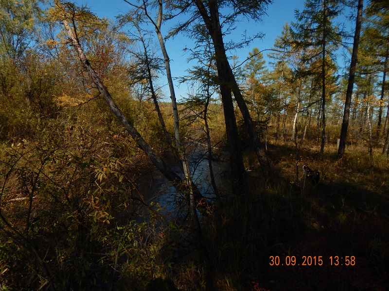 DSCN1307.jpg