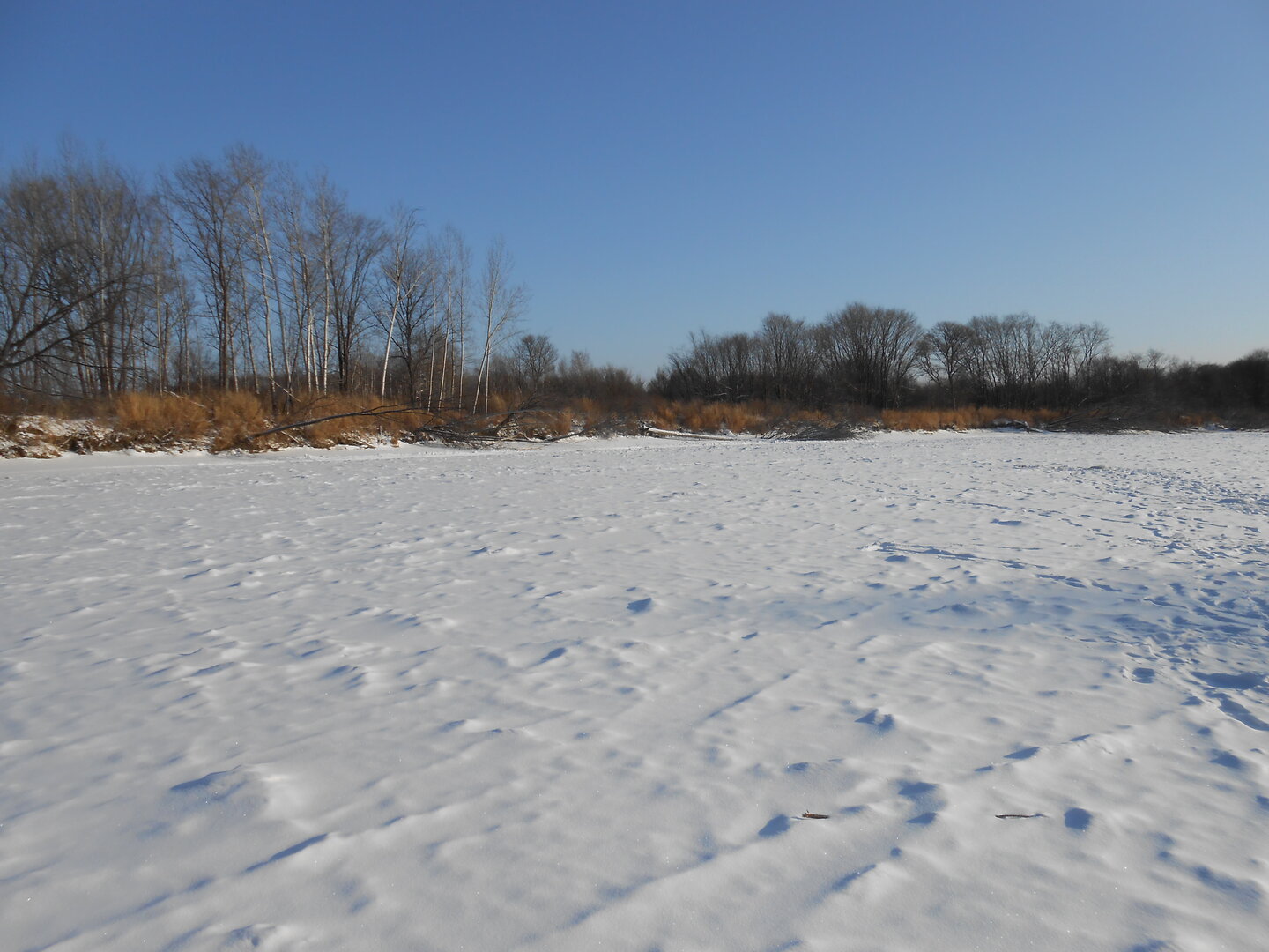 DSCN1312.JPG