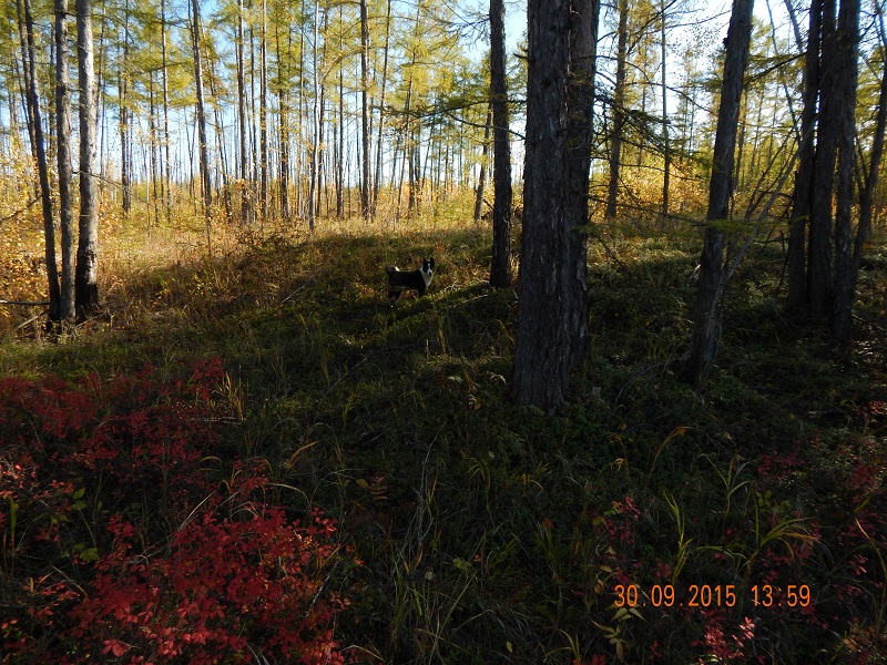 DSCN1313.jpg