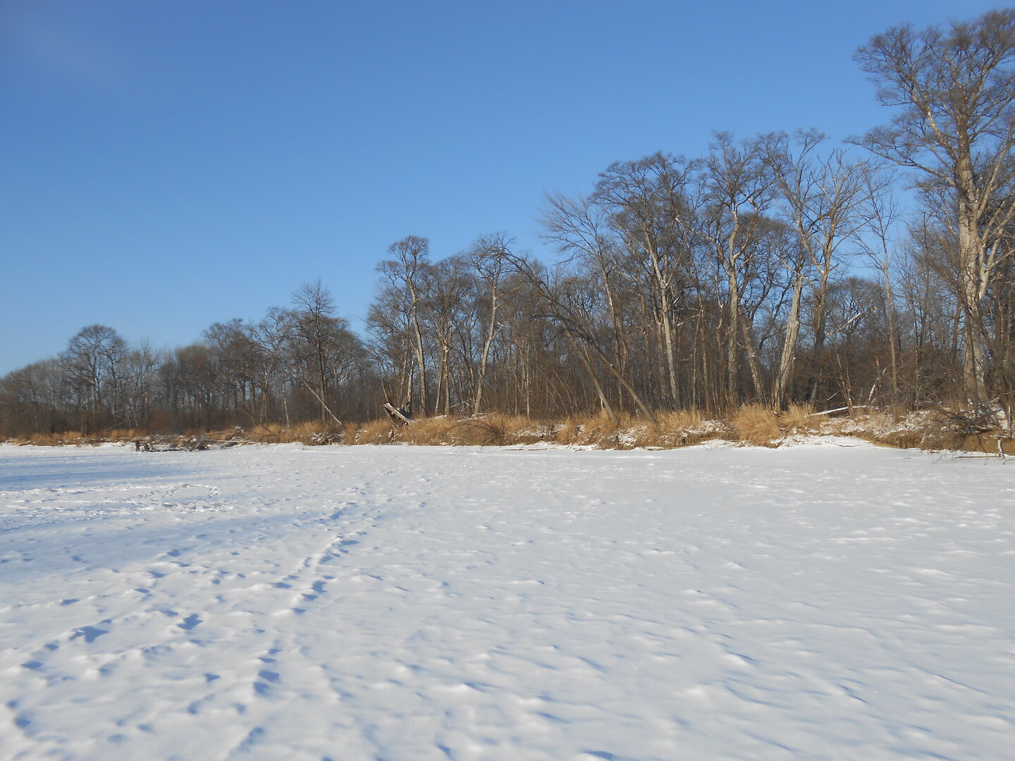 DSCN1313.JPG