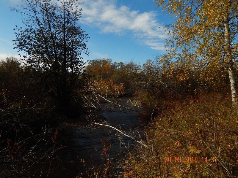 DSCN1317.jpg