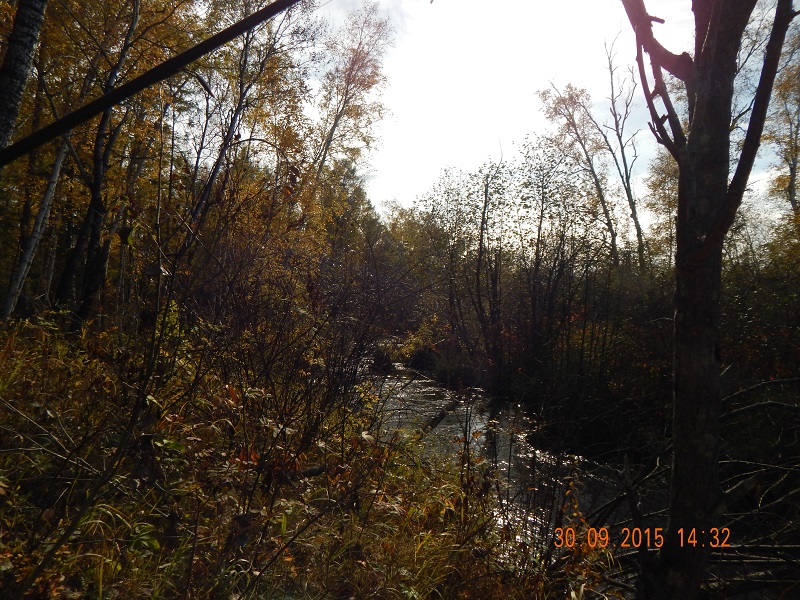 DSCN1319.jpg