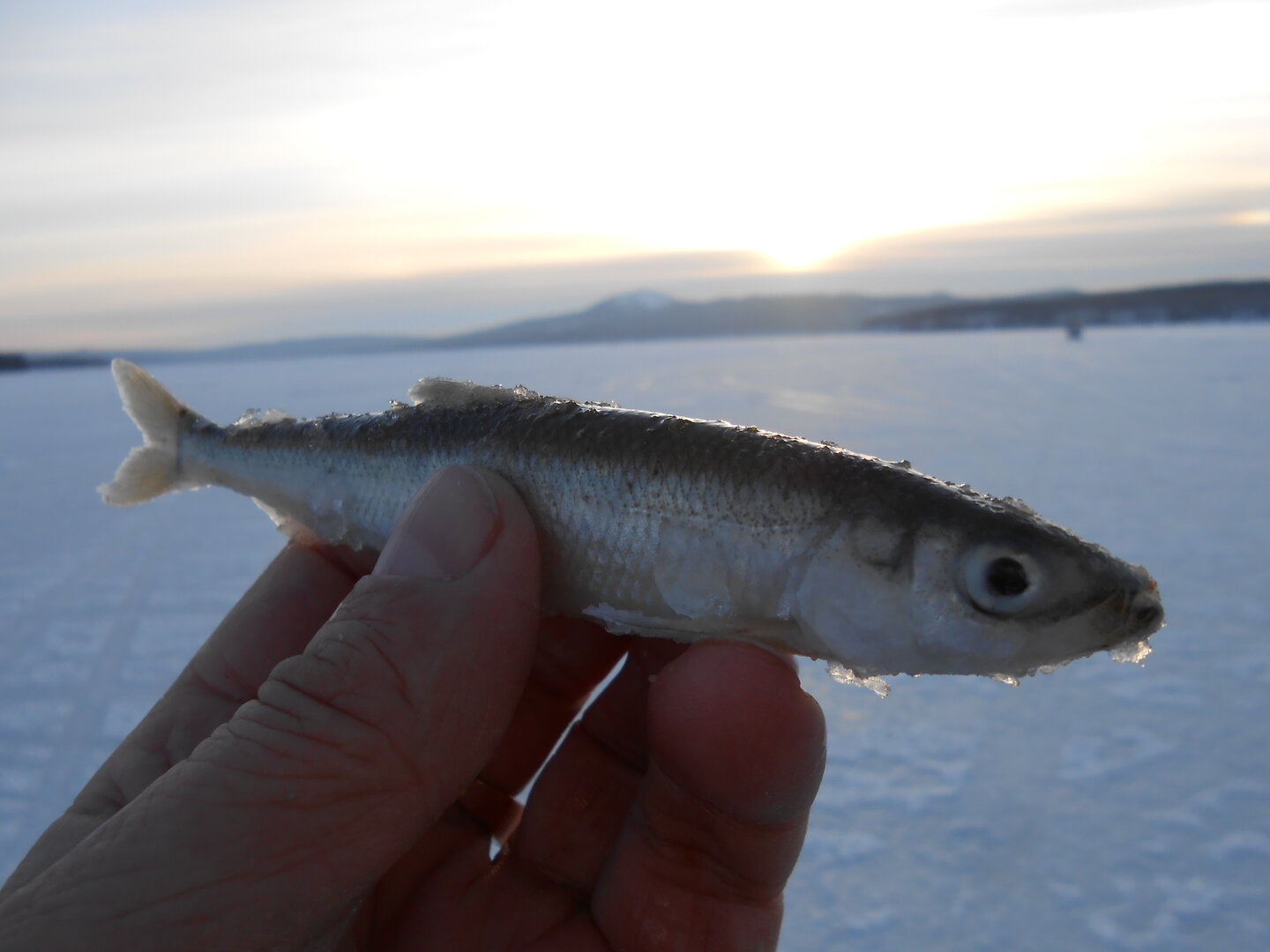 DSCN1328.JPG