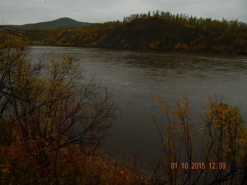 DSCN1337.jpg