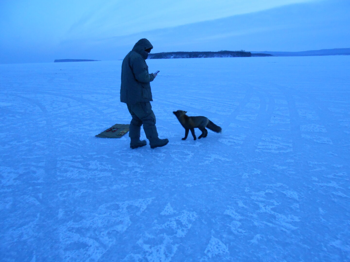 DSCN1338.JPG