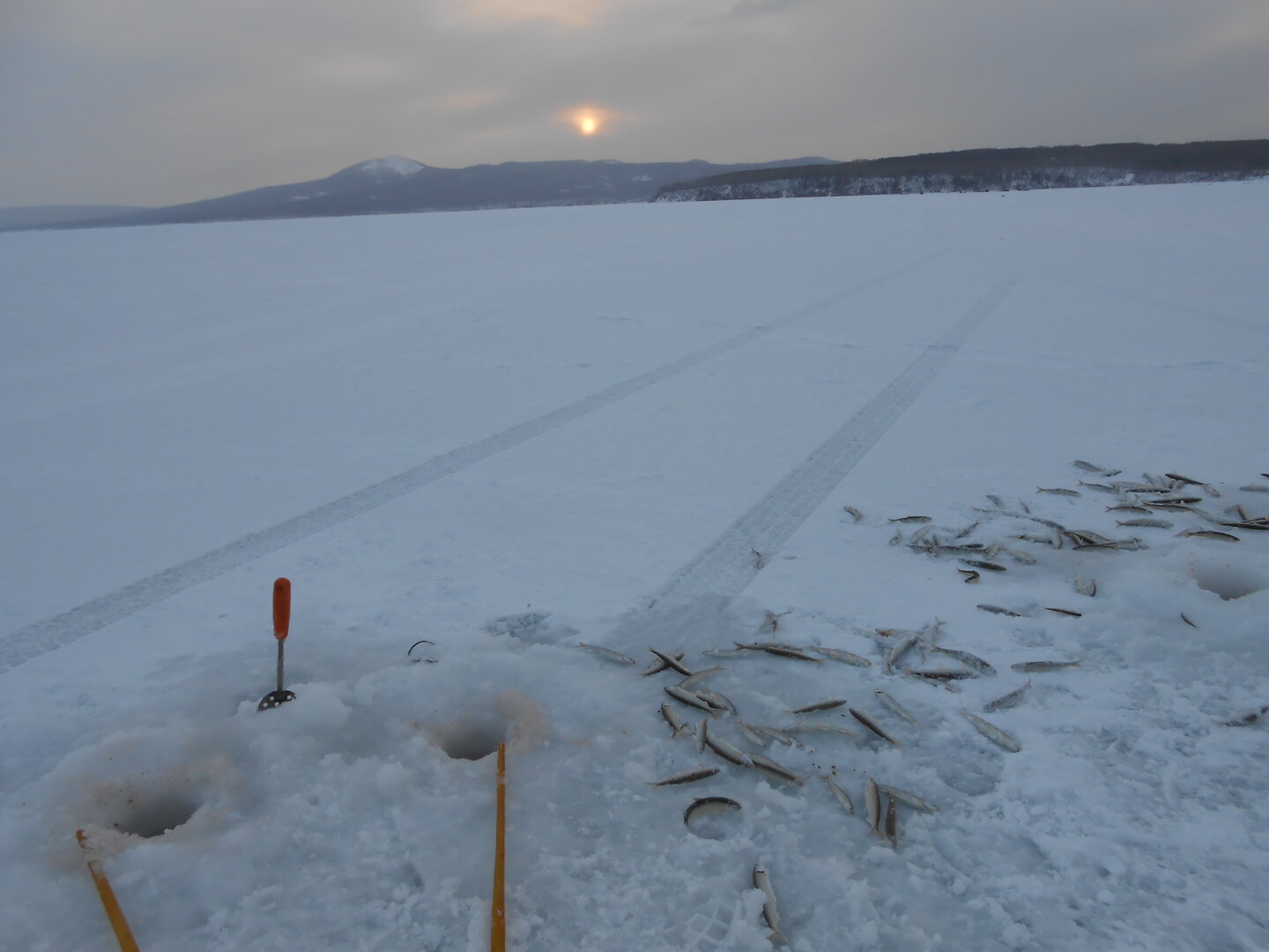DSCN1360.JPG