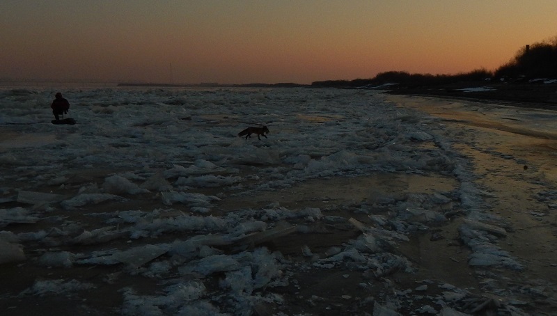 DSCN1365.JPG