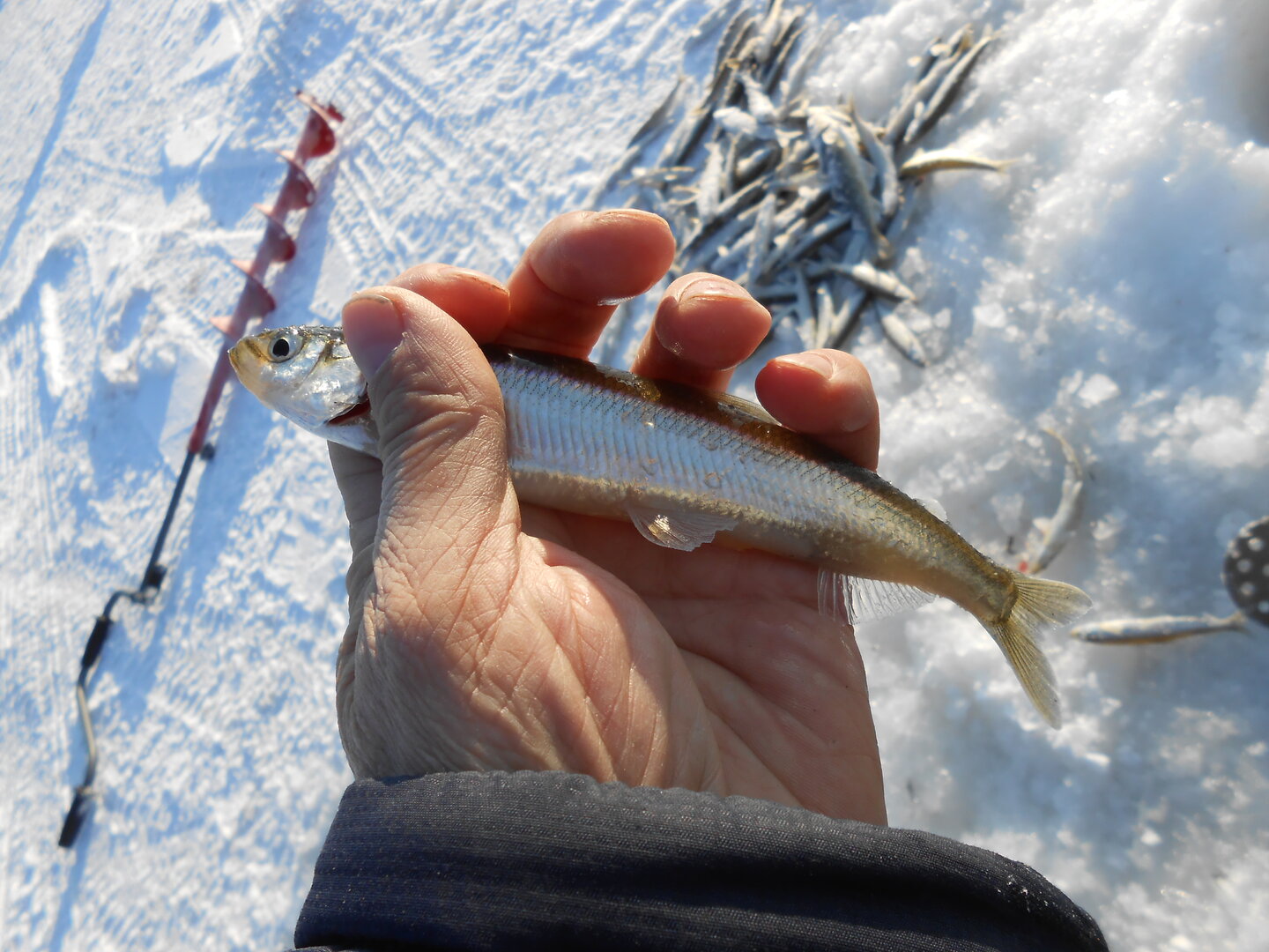 DSCN1373.JPG