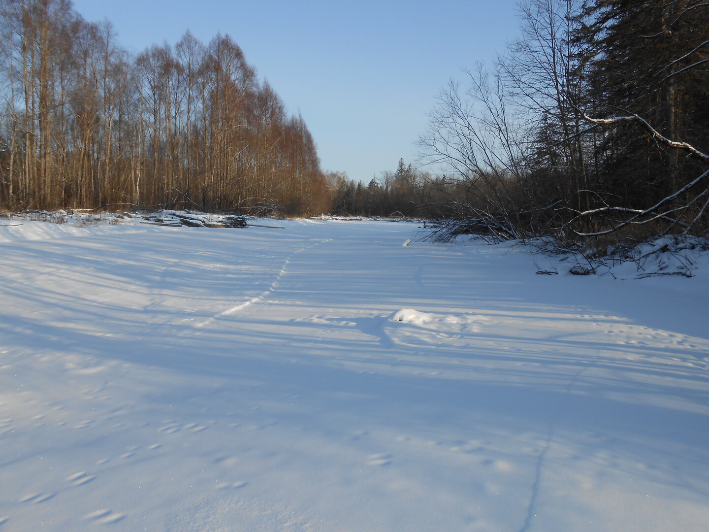DSCN1457.JPG