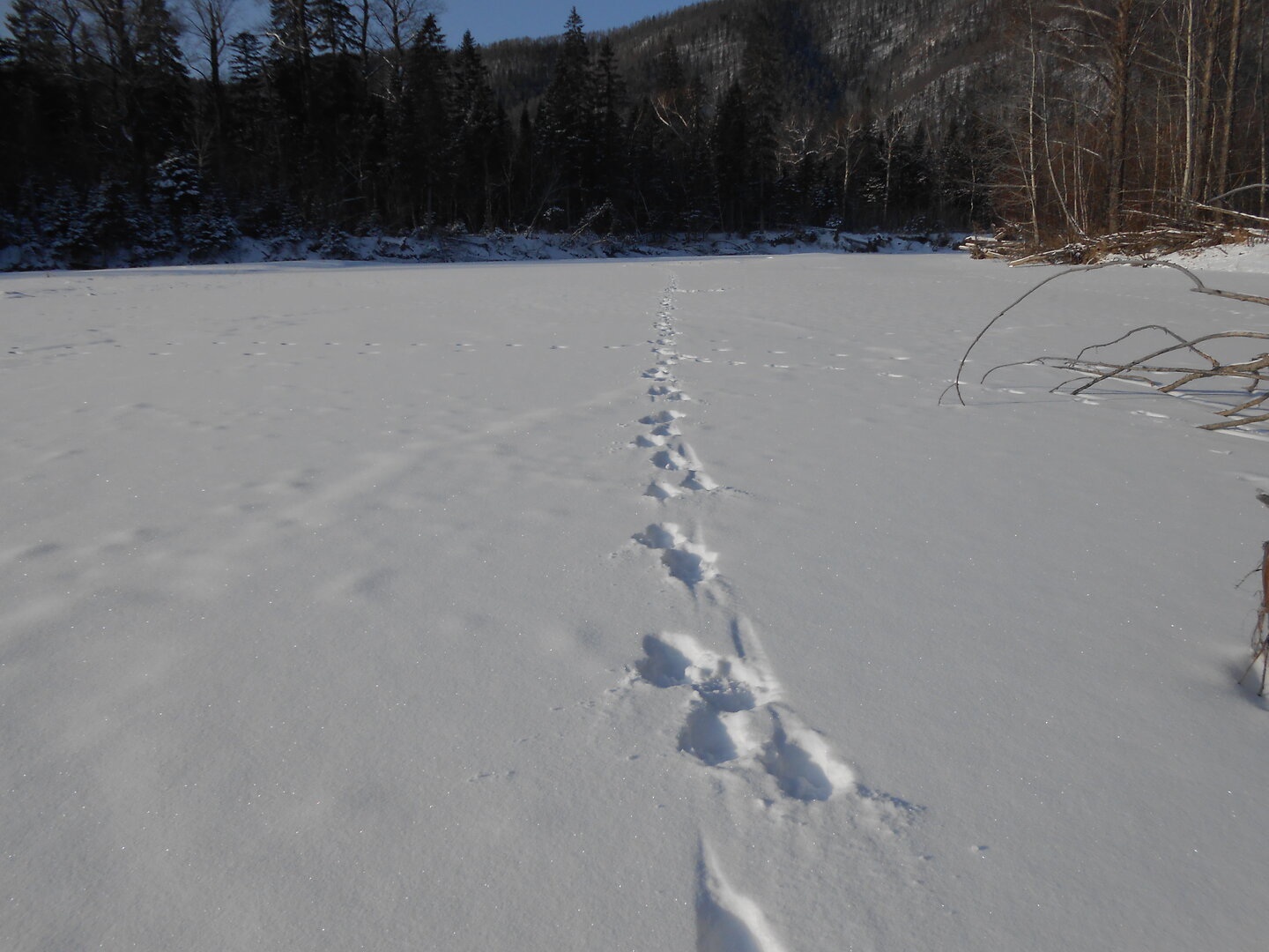 DSCN1465.JPG