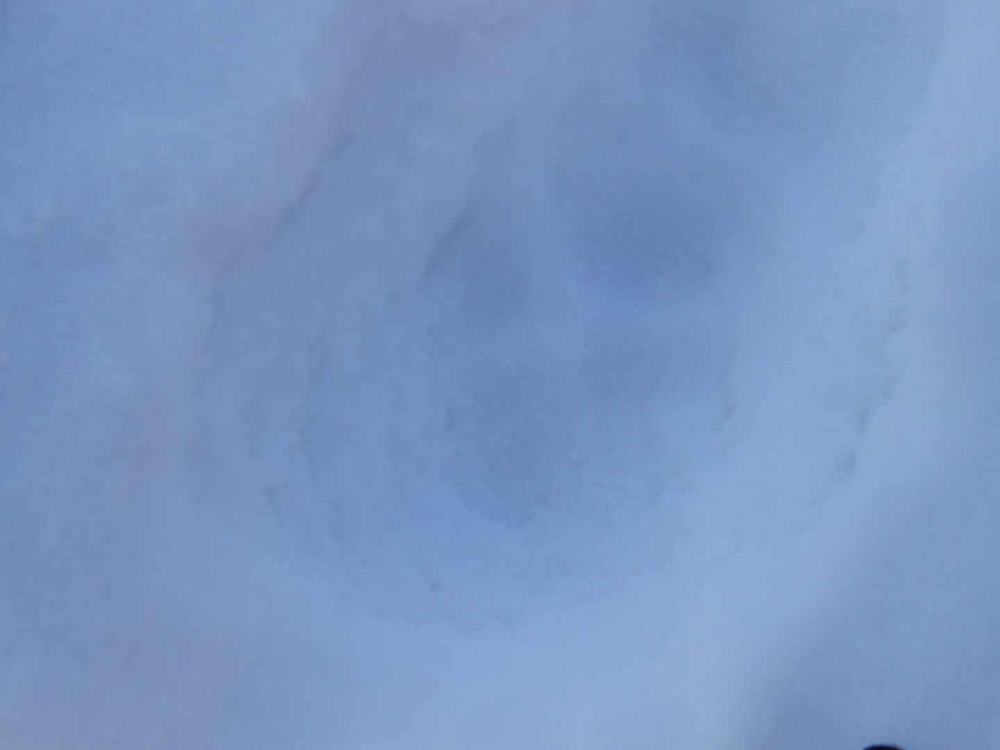 DSCN1466.JPG