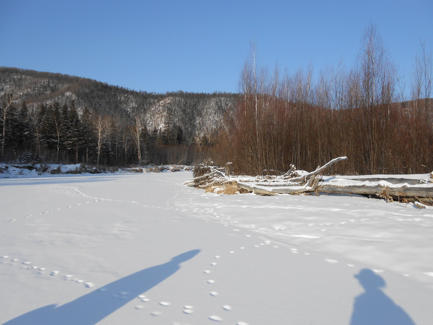 DSCN1468.JPG