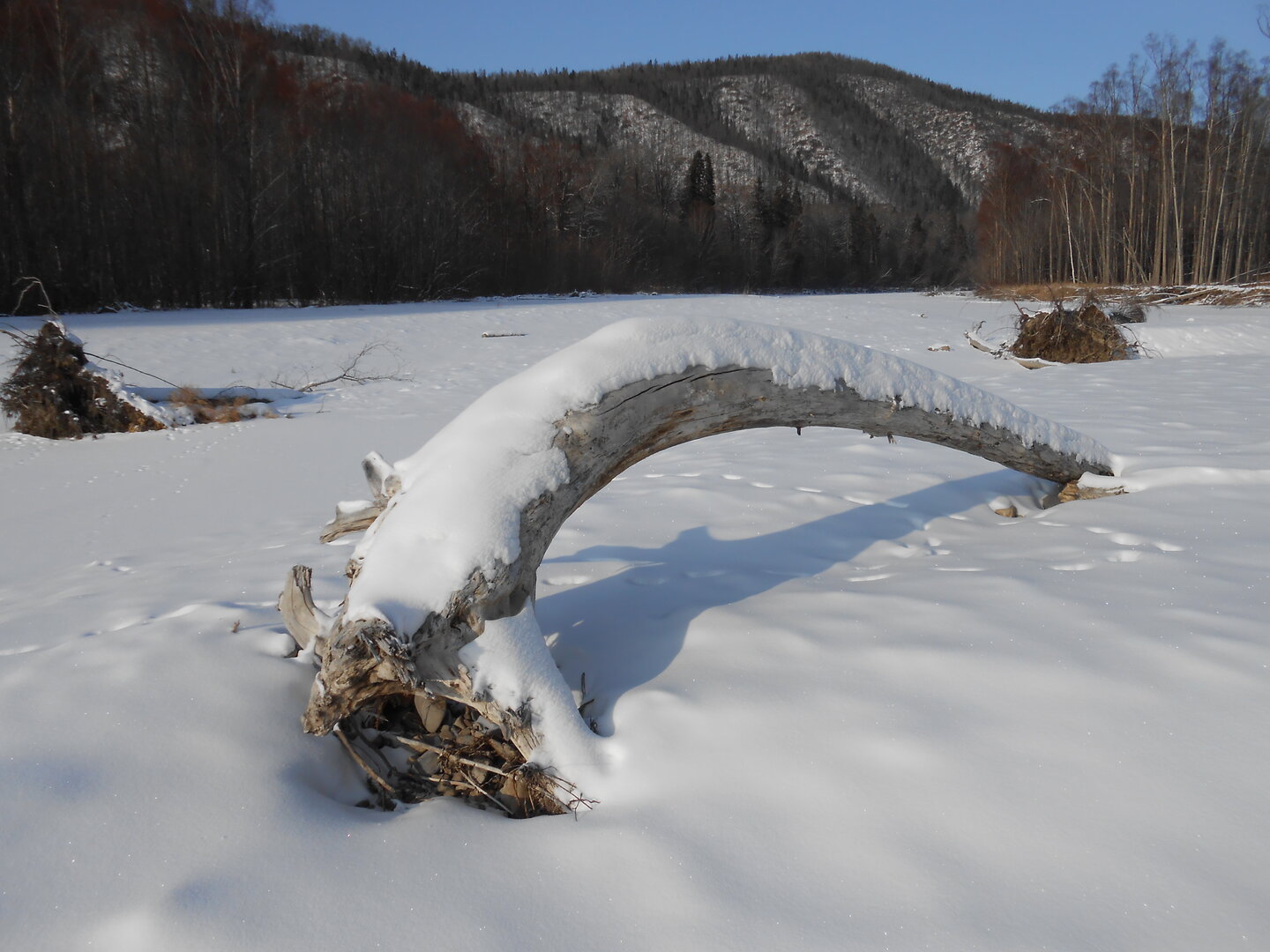 DSCN1479.JPG
