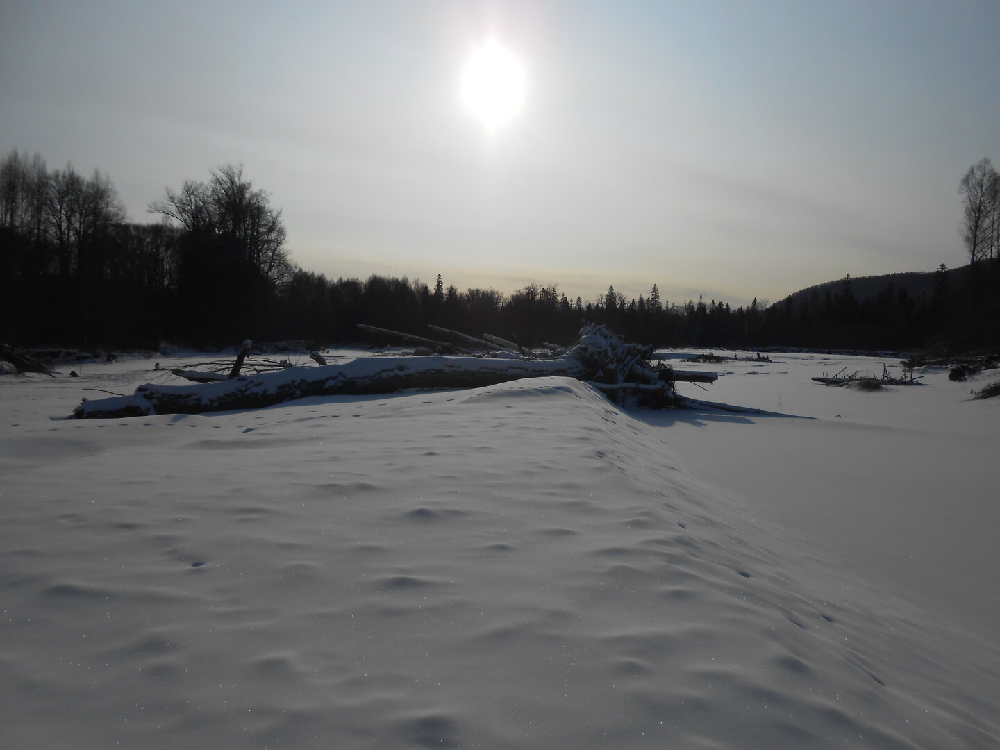 DSCN1480.JPG