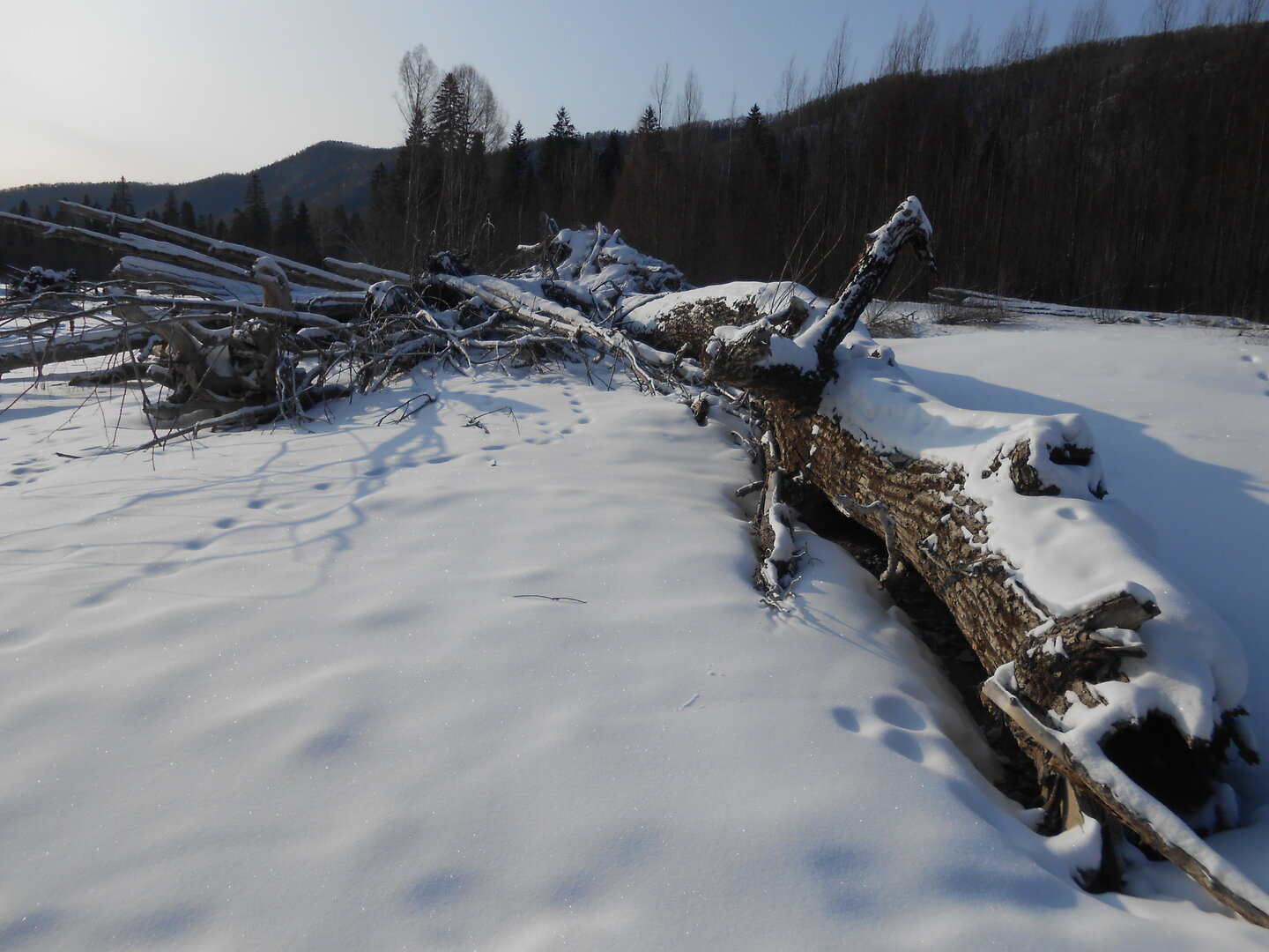 DSCN1481.JPG