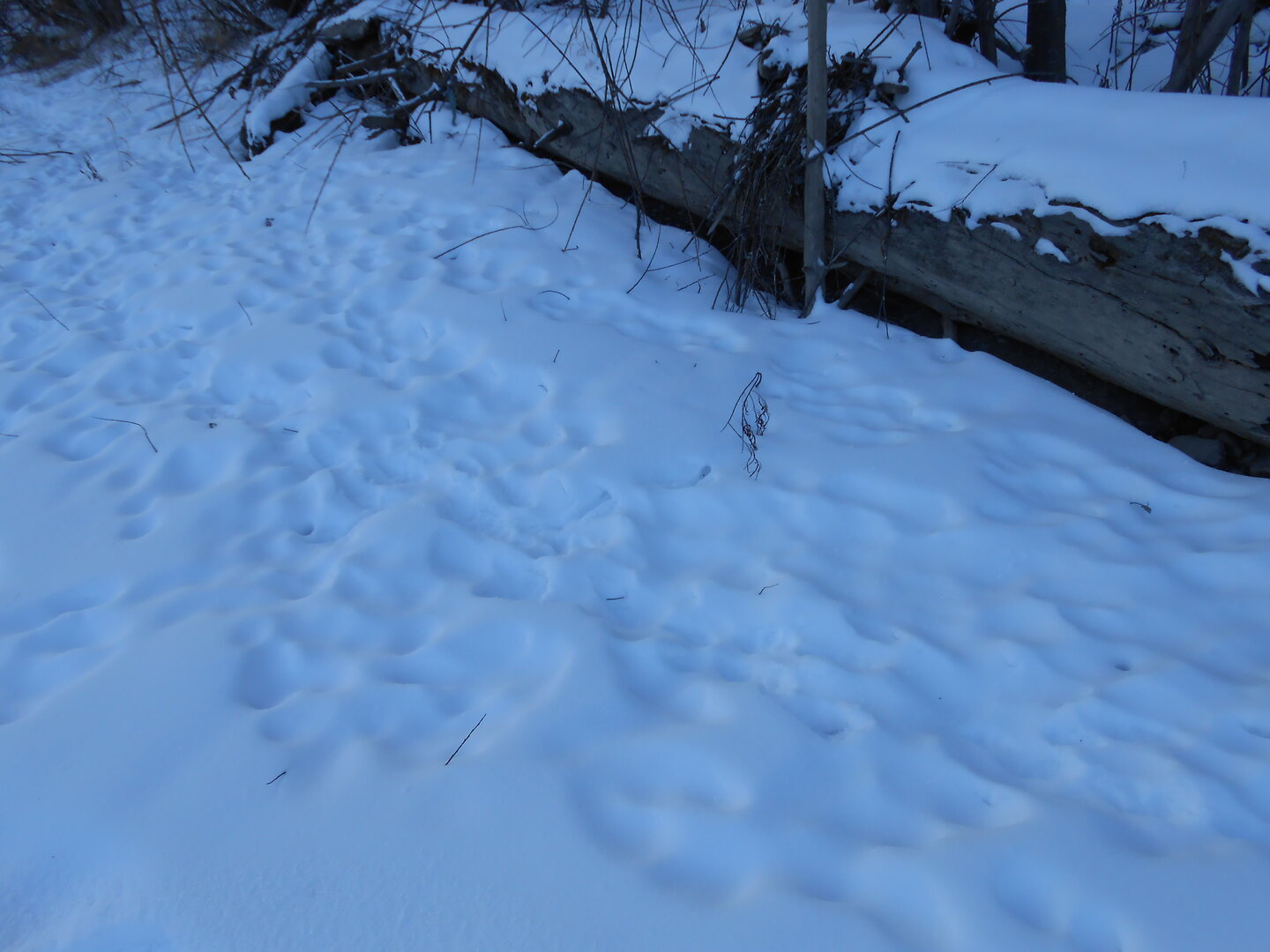 DSCN1492.JPG