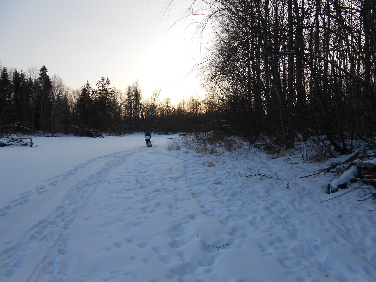 DSCN1493.JPG