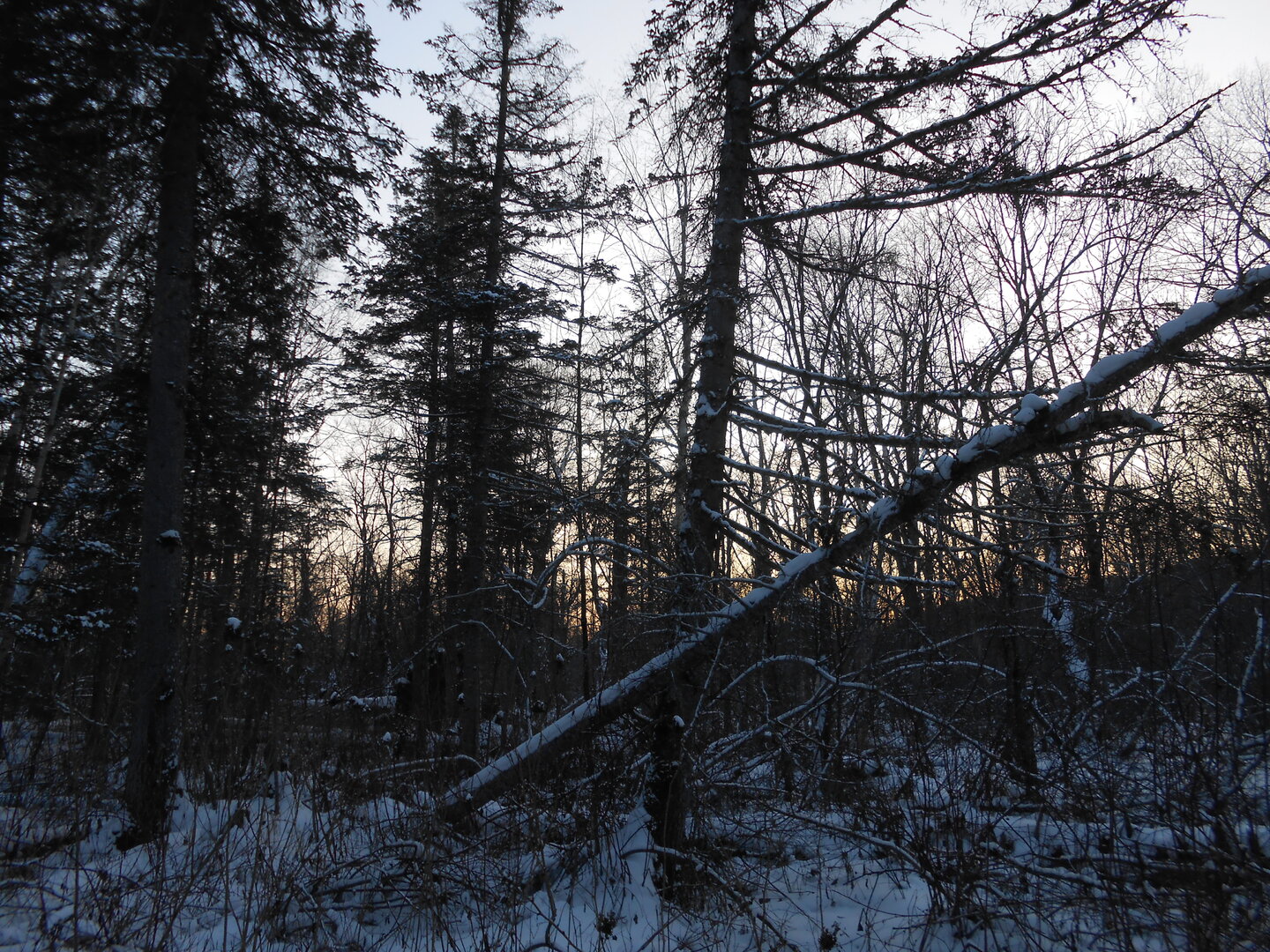 DSCN1494.JPG