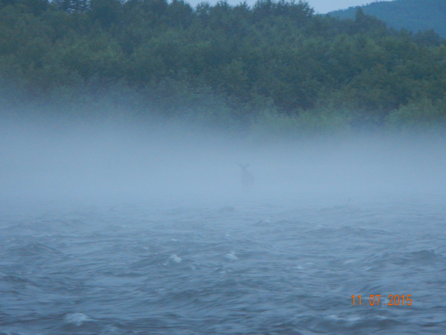 DSCN1593.JPG