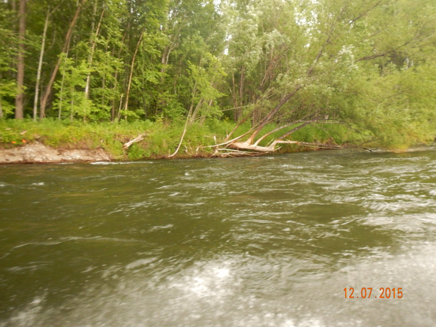 DSCN1613.JPG
