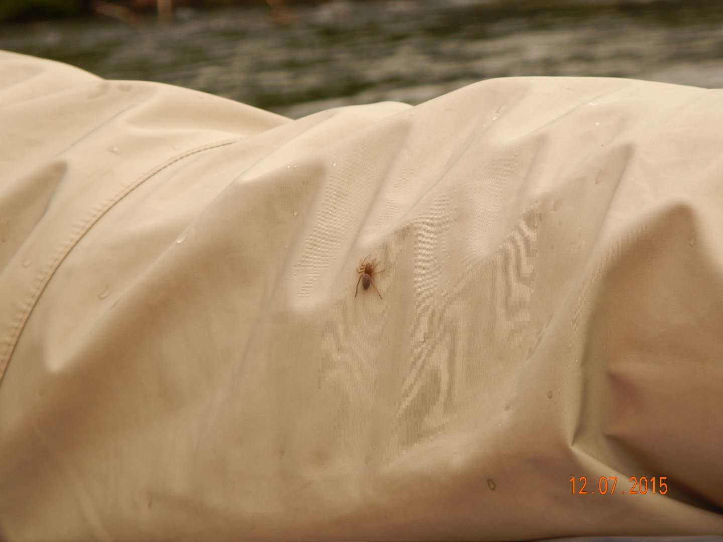 DSCN1614.JPG