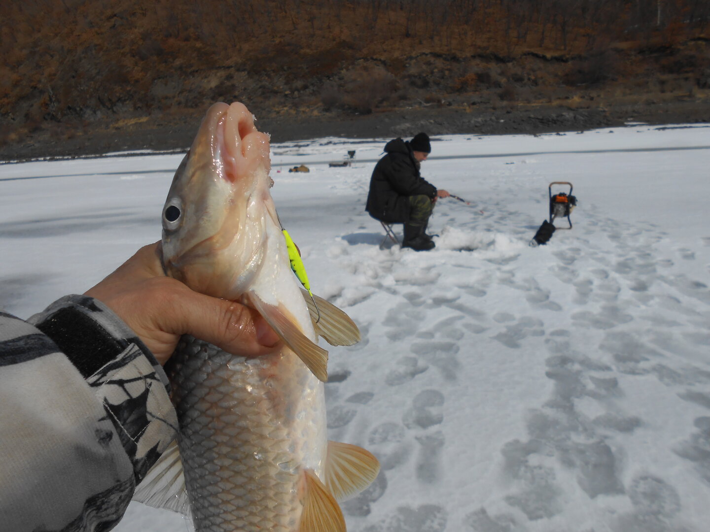 DSCN1701.JPG