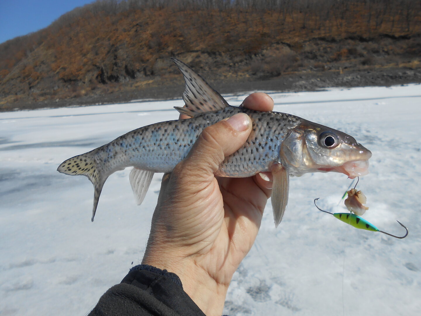 DSCN1723.JPG
