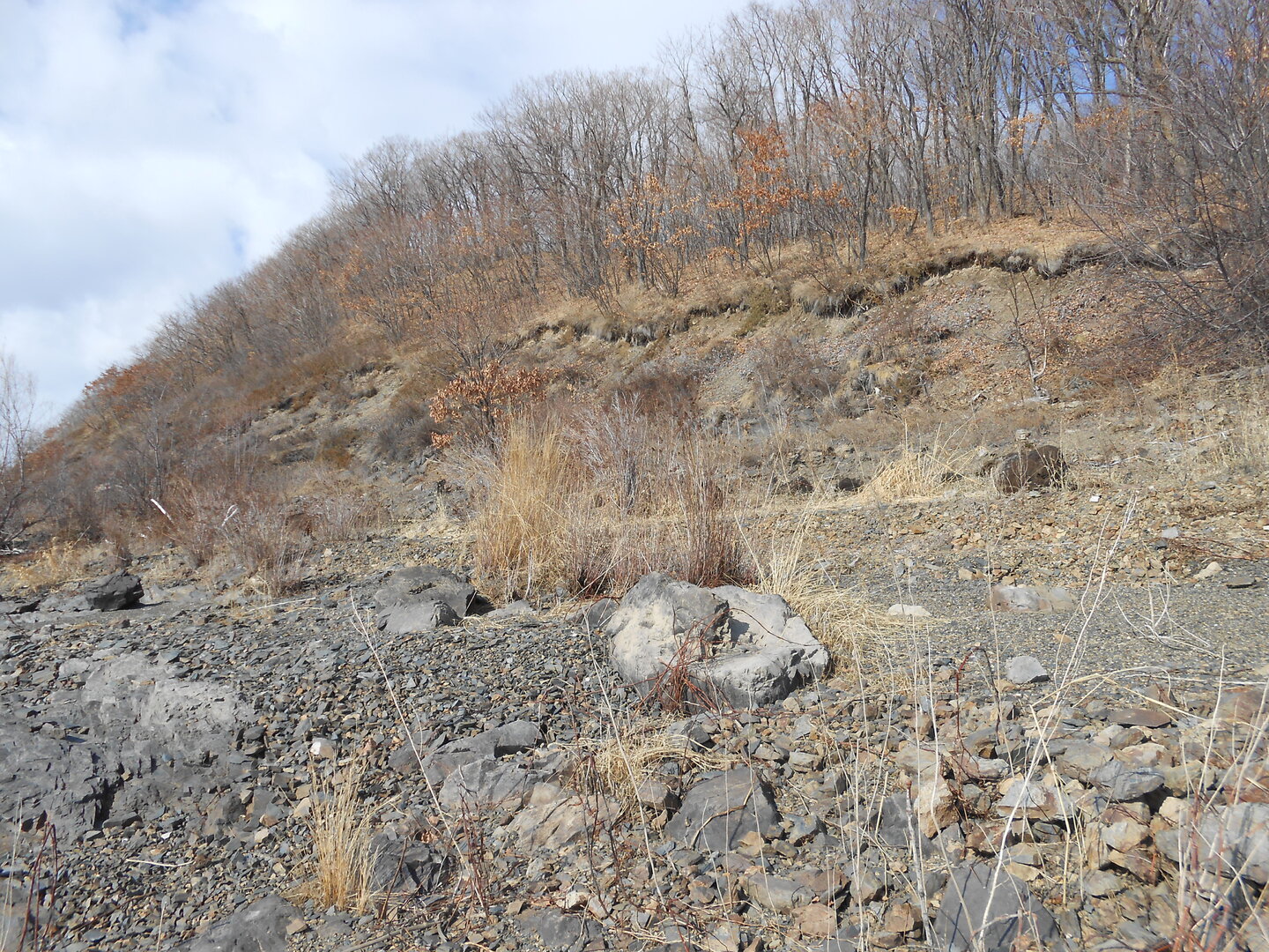 DSCN1748.JPG