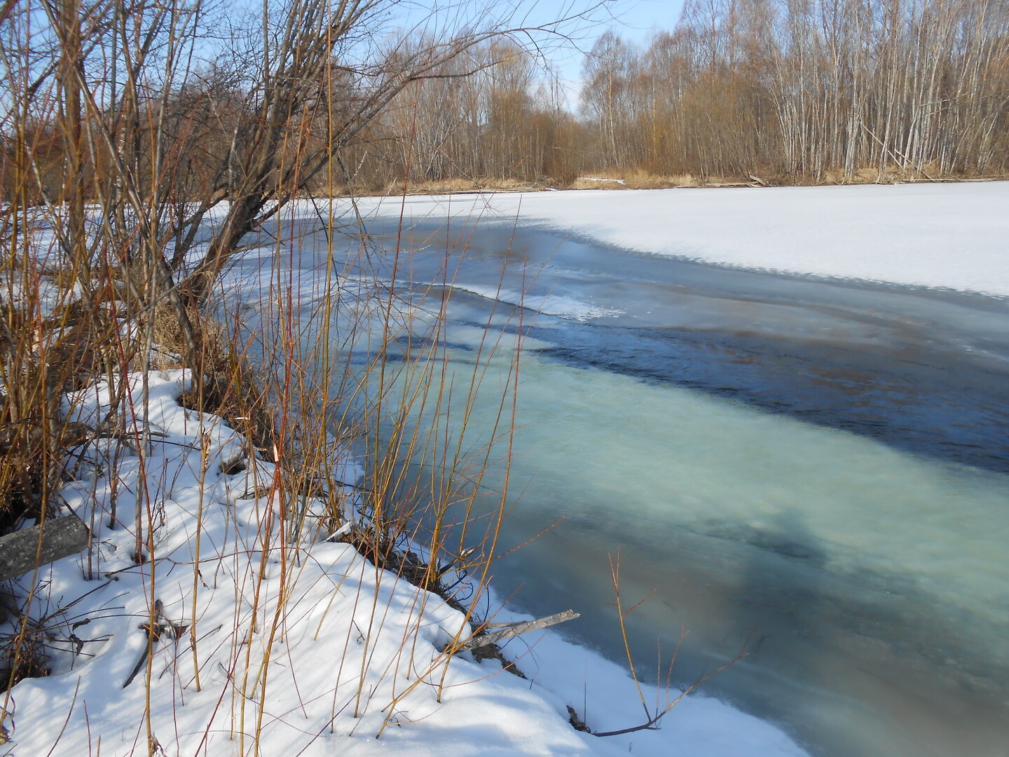 DSCN1753.JPG