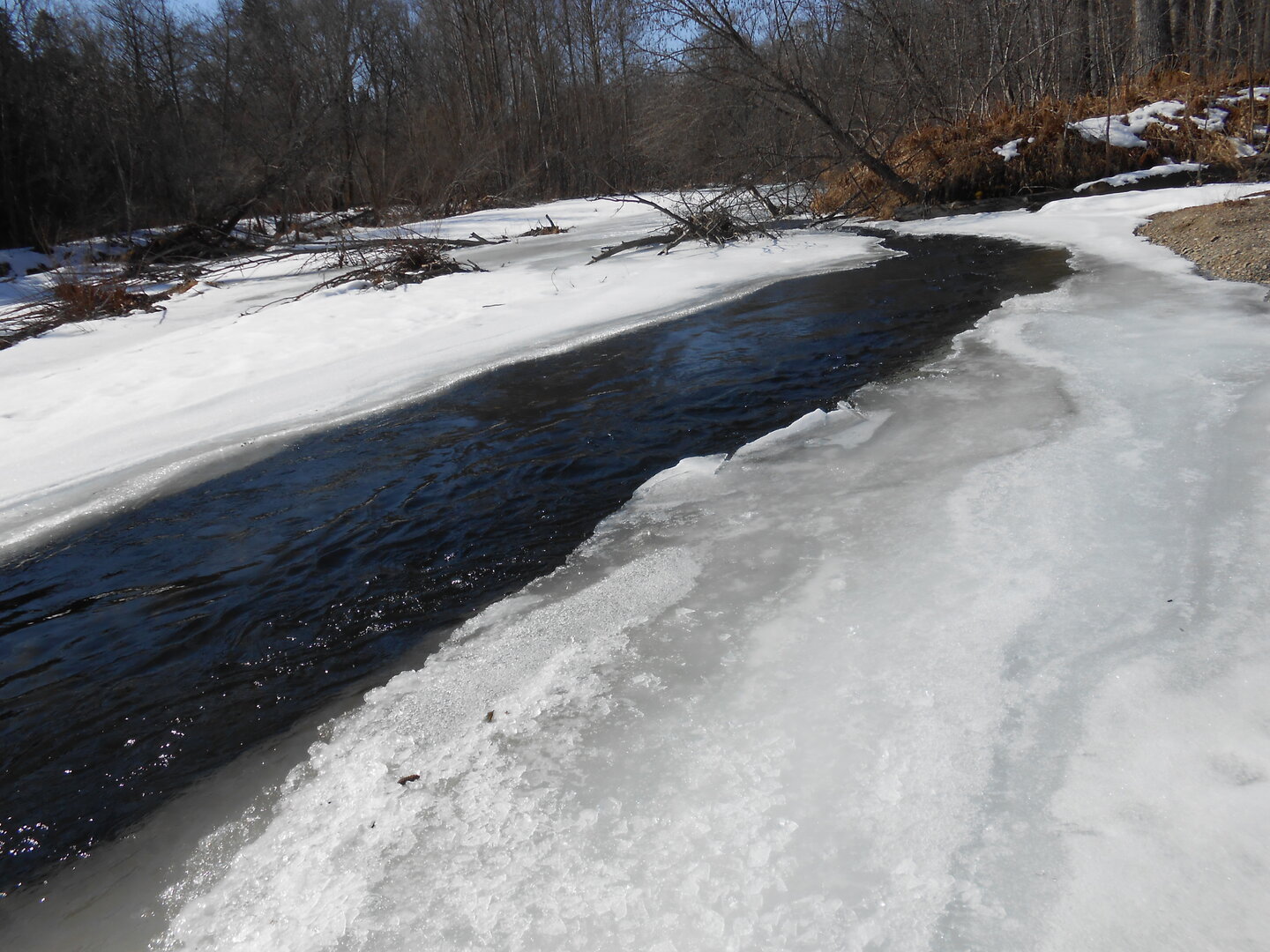 DSCN1765.JPG