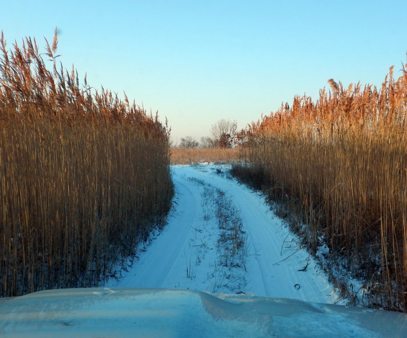 DSCN1778.JPG