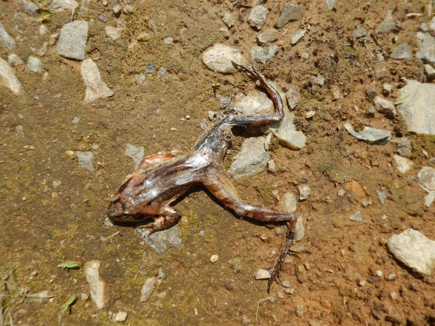 DSCN2107.JPG