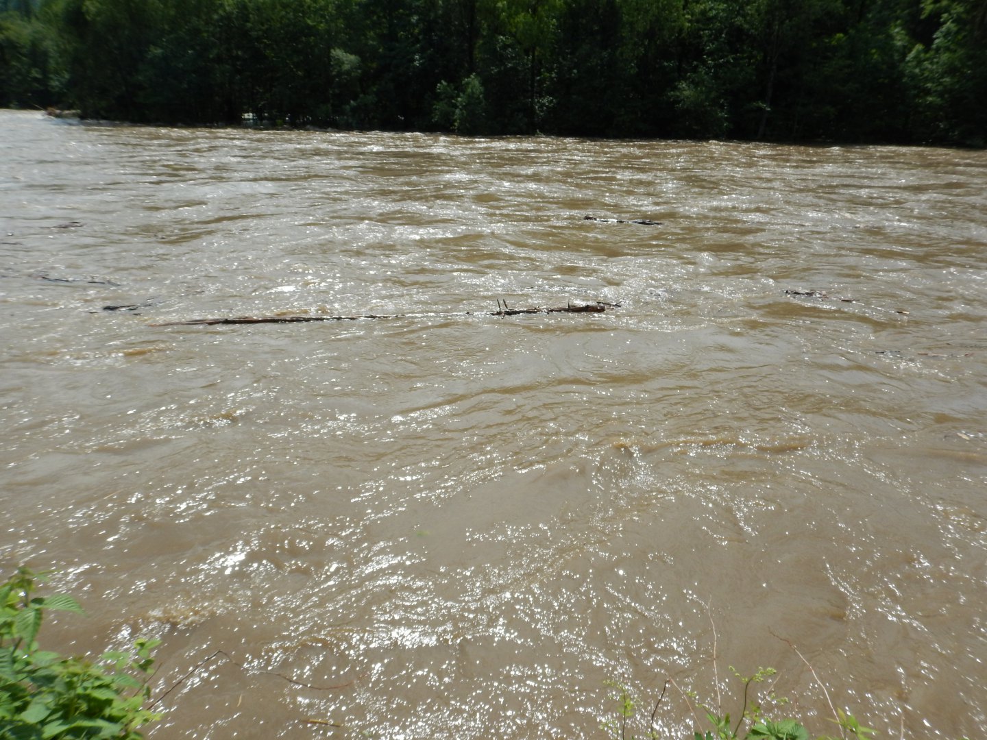 DSCN2108.JPG