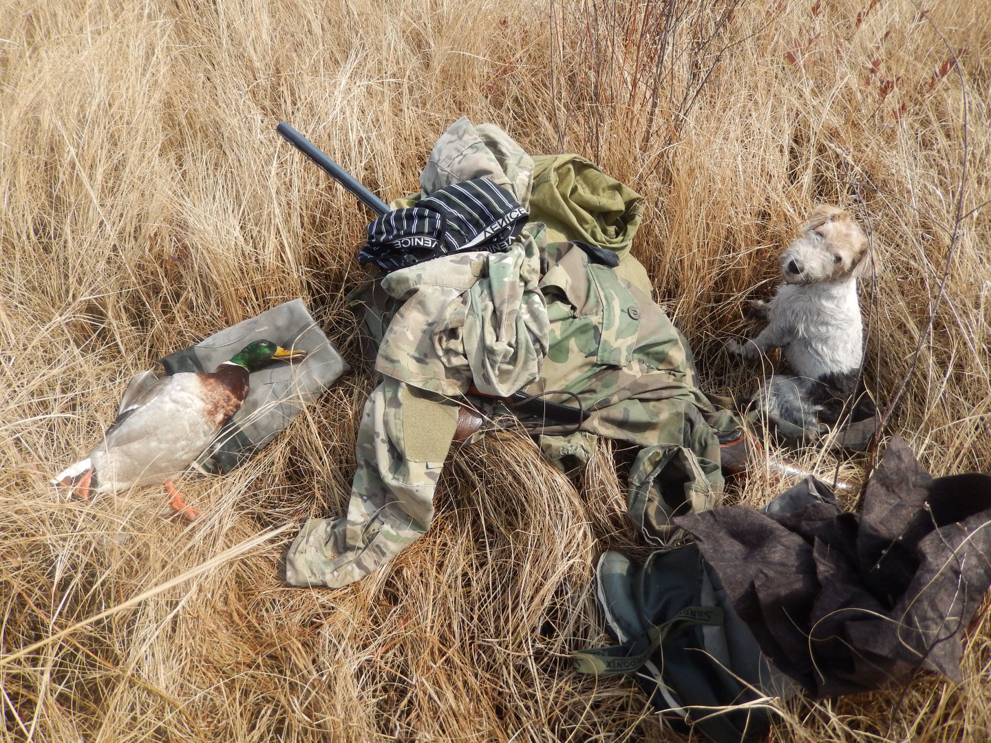 DSCN2170.JPG