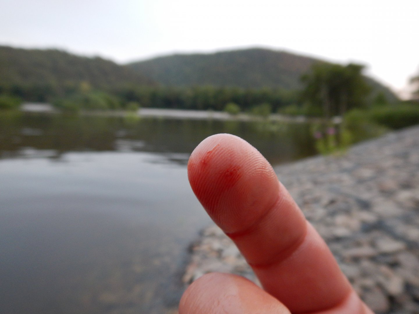 DSCN2207.JPG