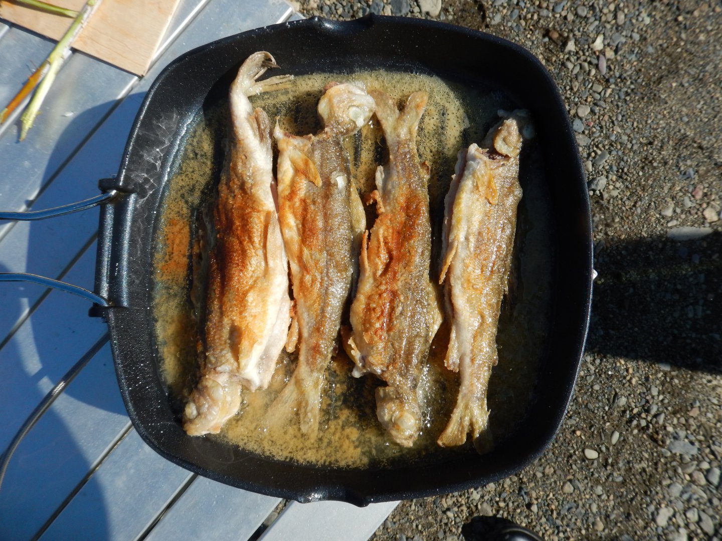 DSCN2215.JPG