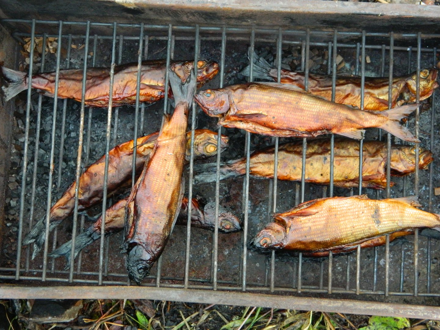 DSCN2912.JPG