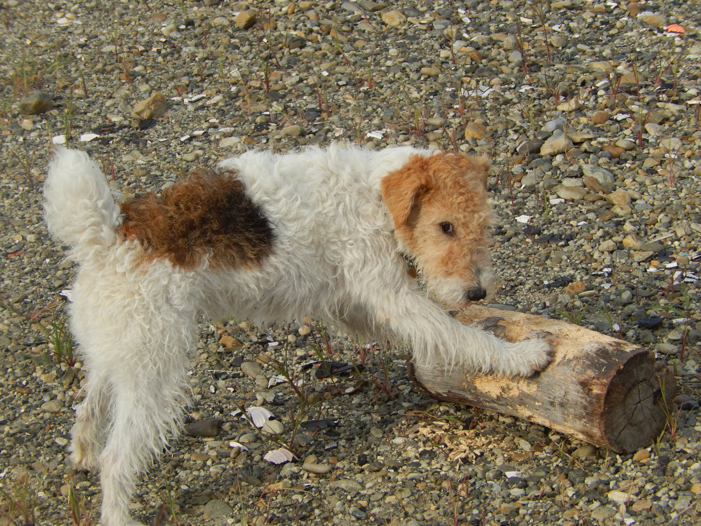 DSCN2926.JPG