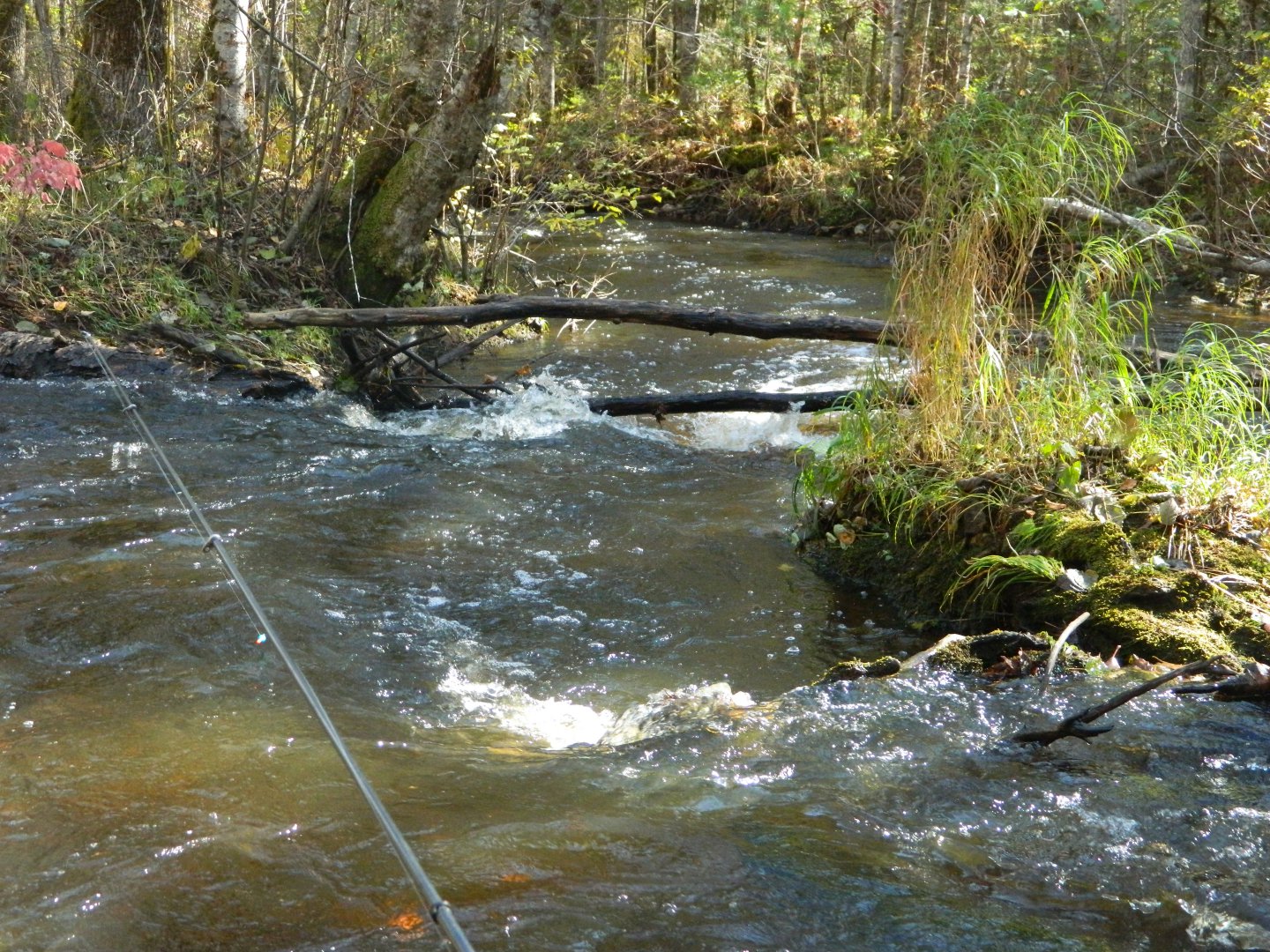 DSCN2933.JPG