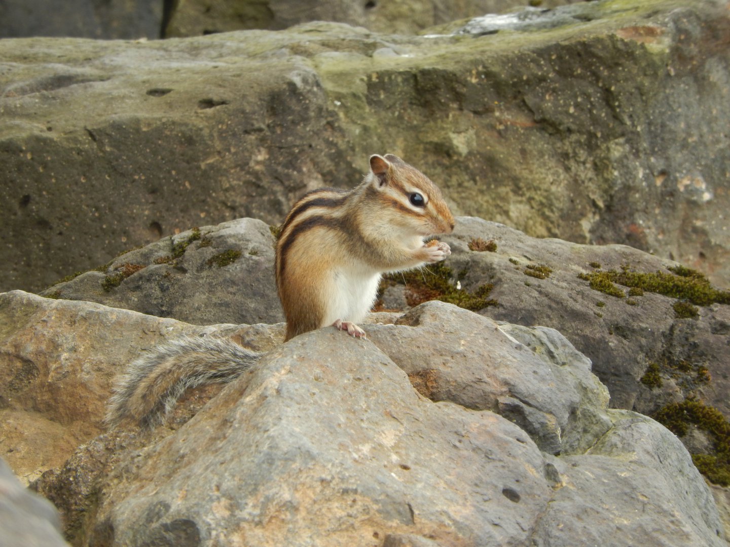 DSCN3154.JPG