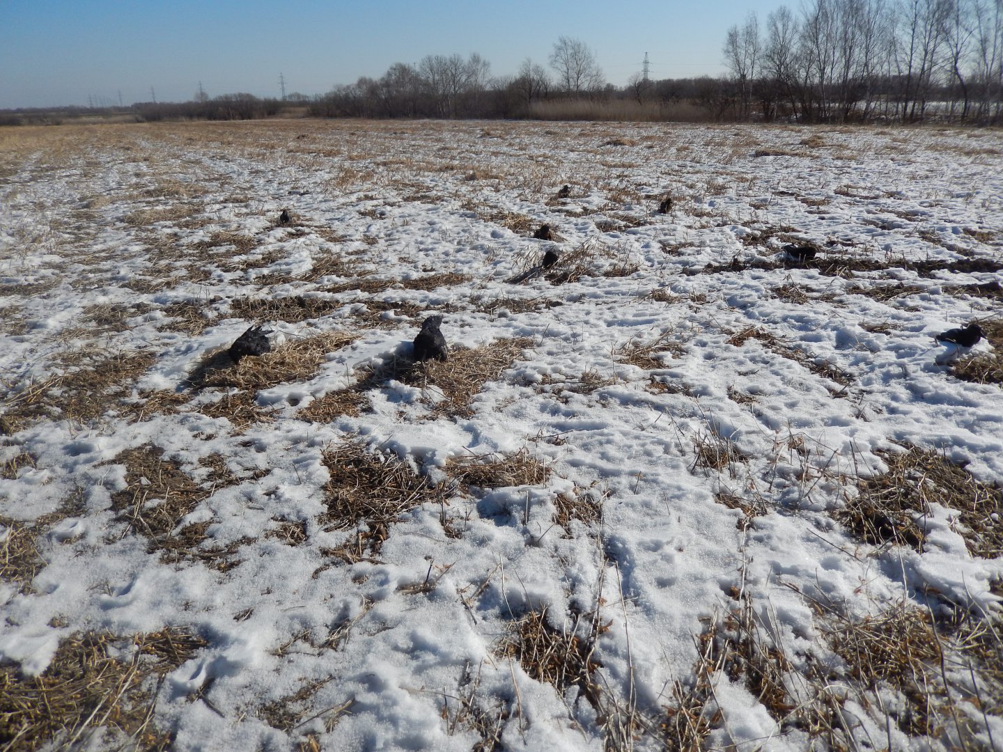 DSCN3161.JPG