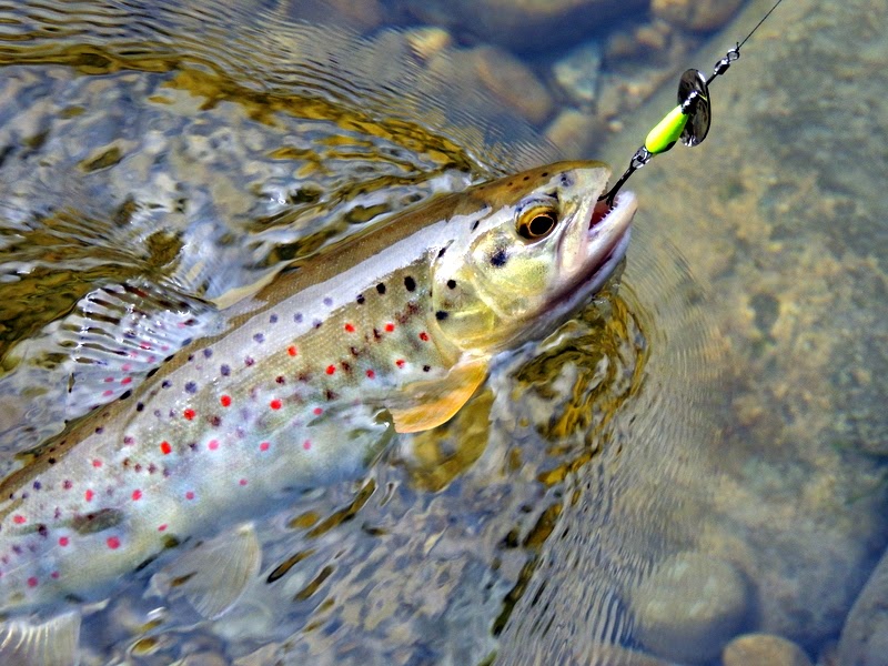 DSCN3296.JPG