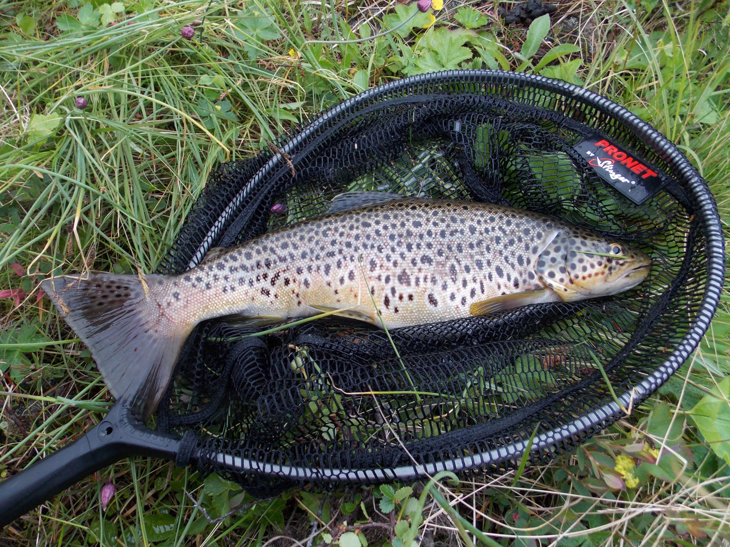 DSCN3391.JPG