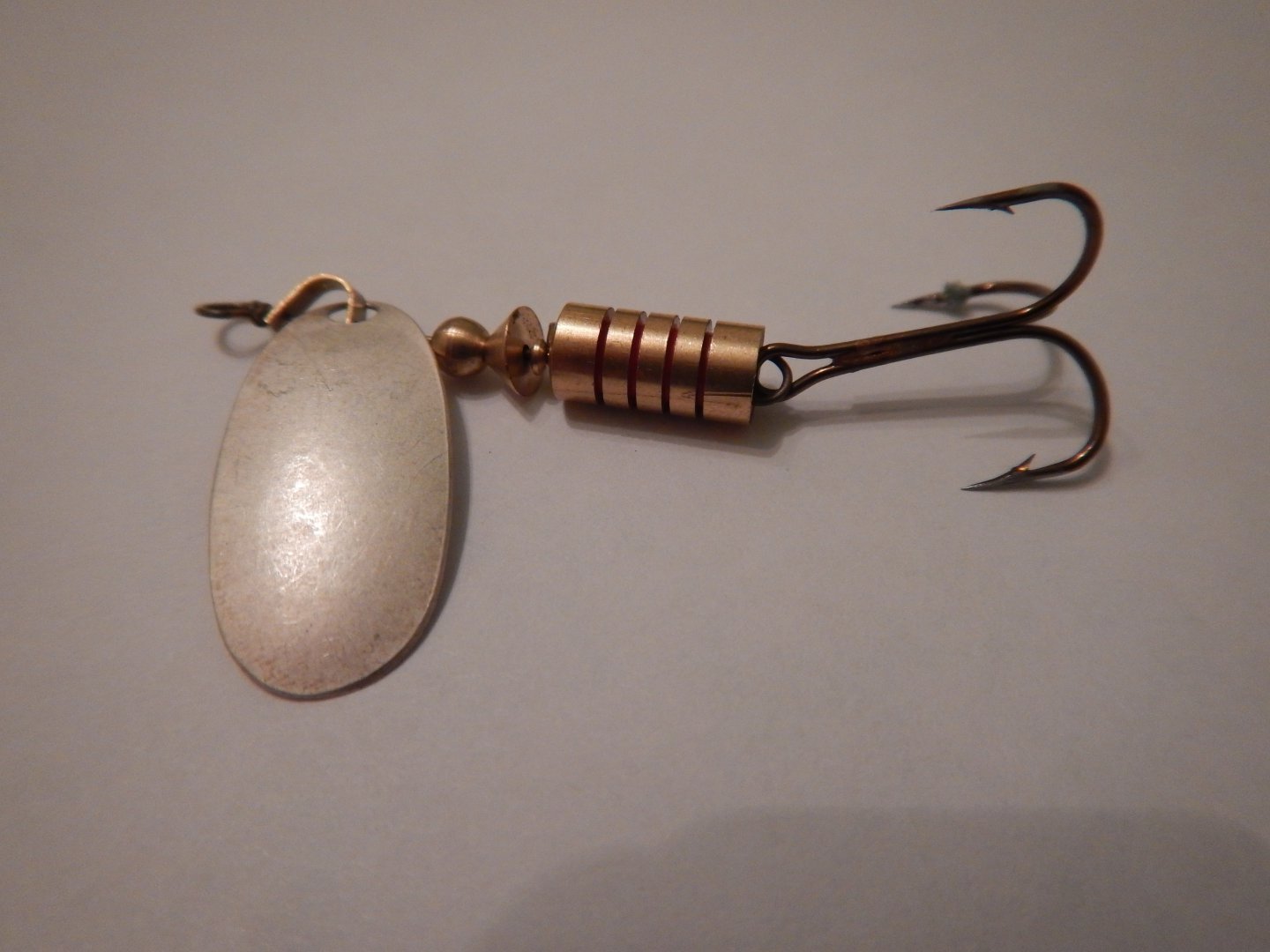 DSCN3506.JPG