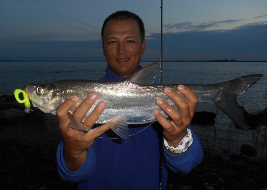 DSCN3782.JPG